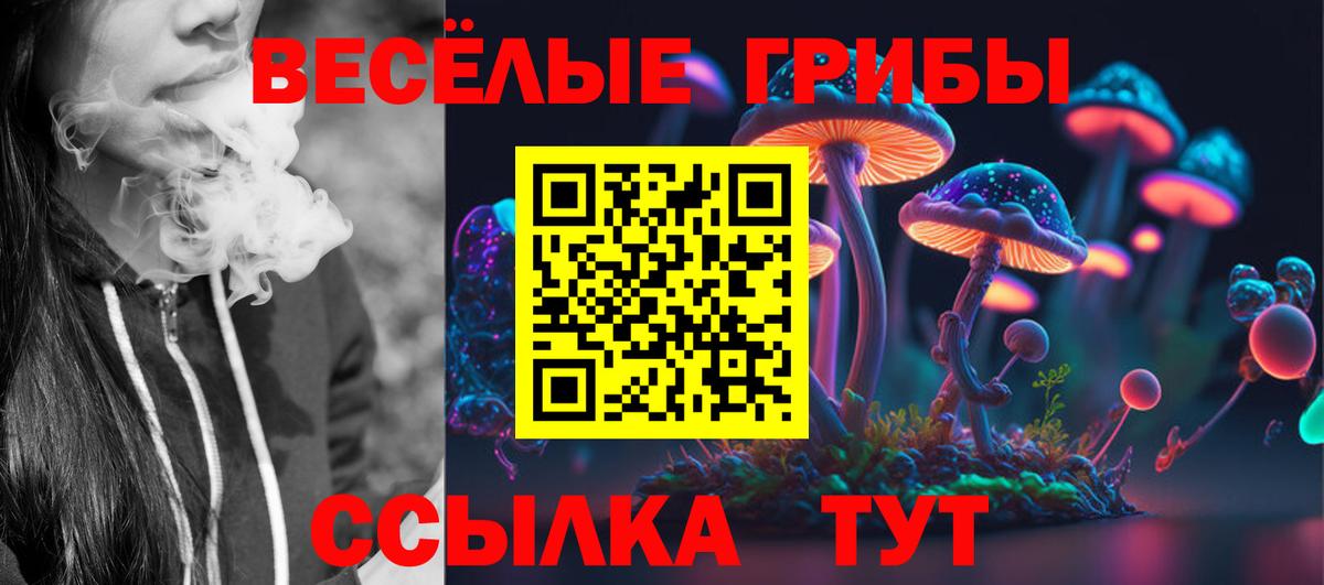 Галлюциногенные грибы прущие грибы Жуковский